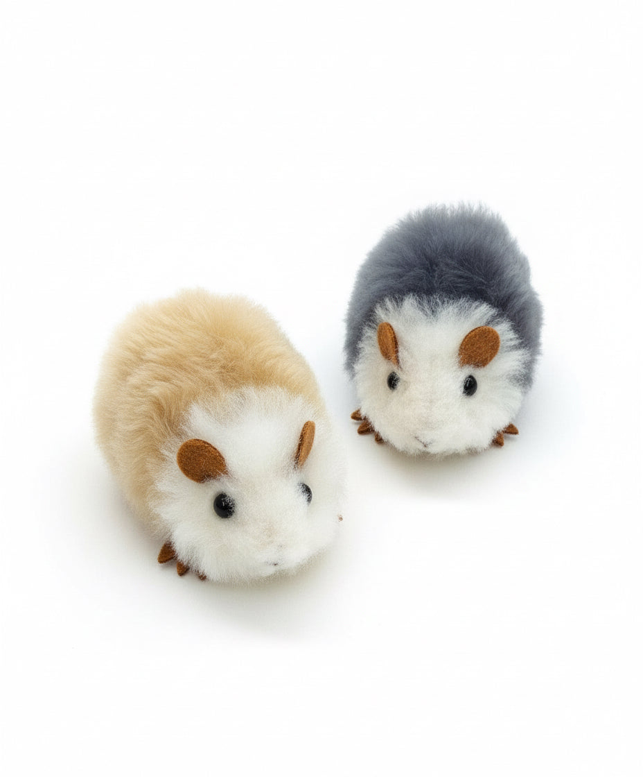 Small Guinea Pig