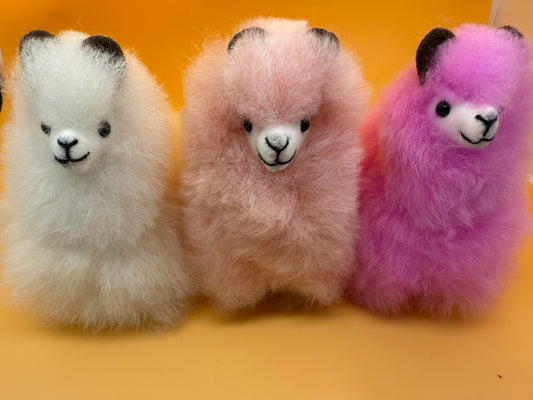 Small cute llama