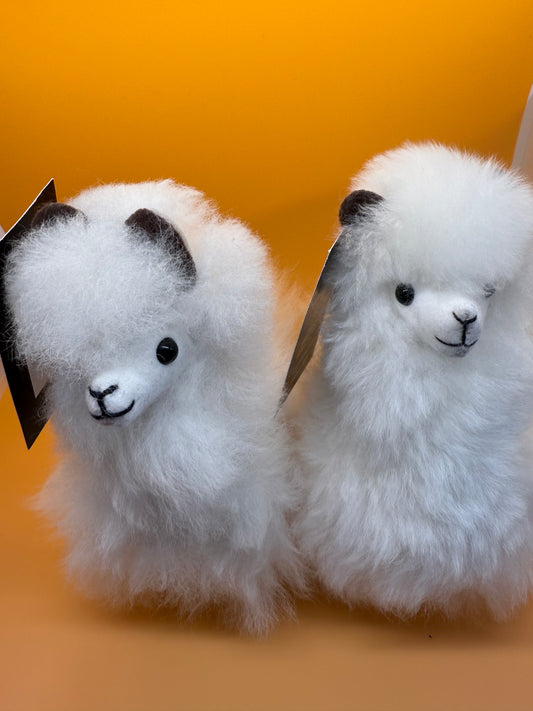 Llama Medium