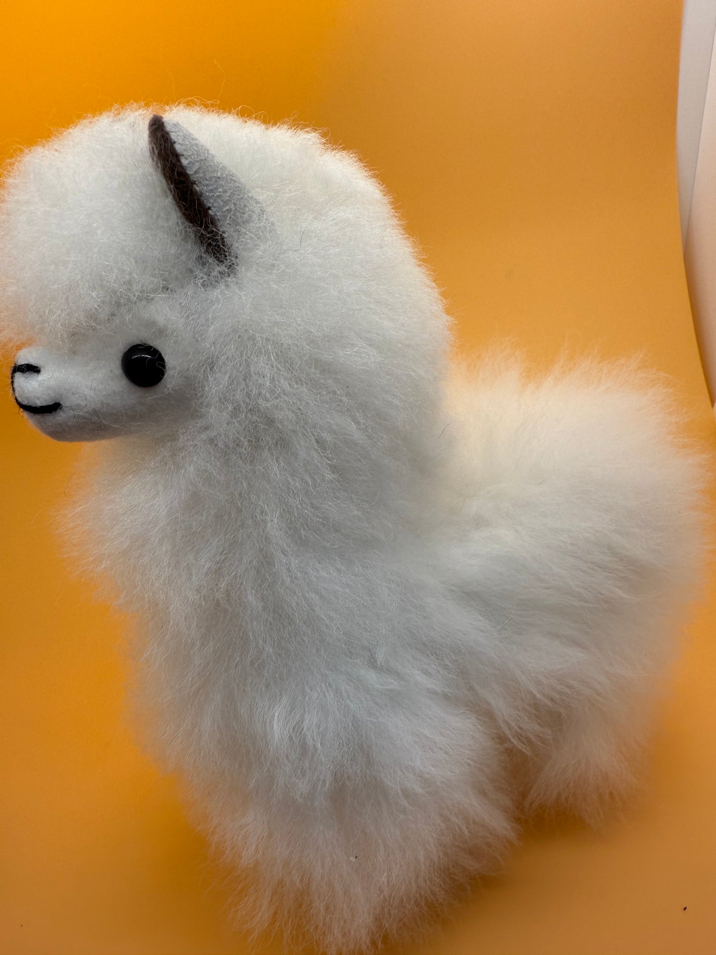 Llama Medium