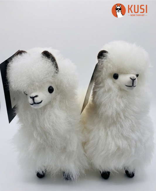 Llama Medium