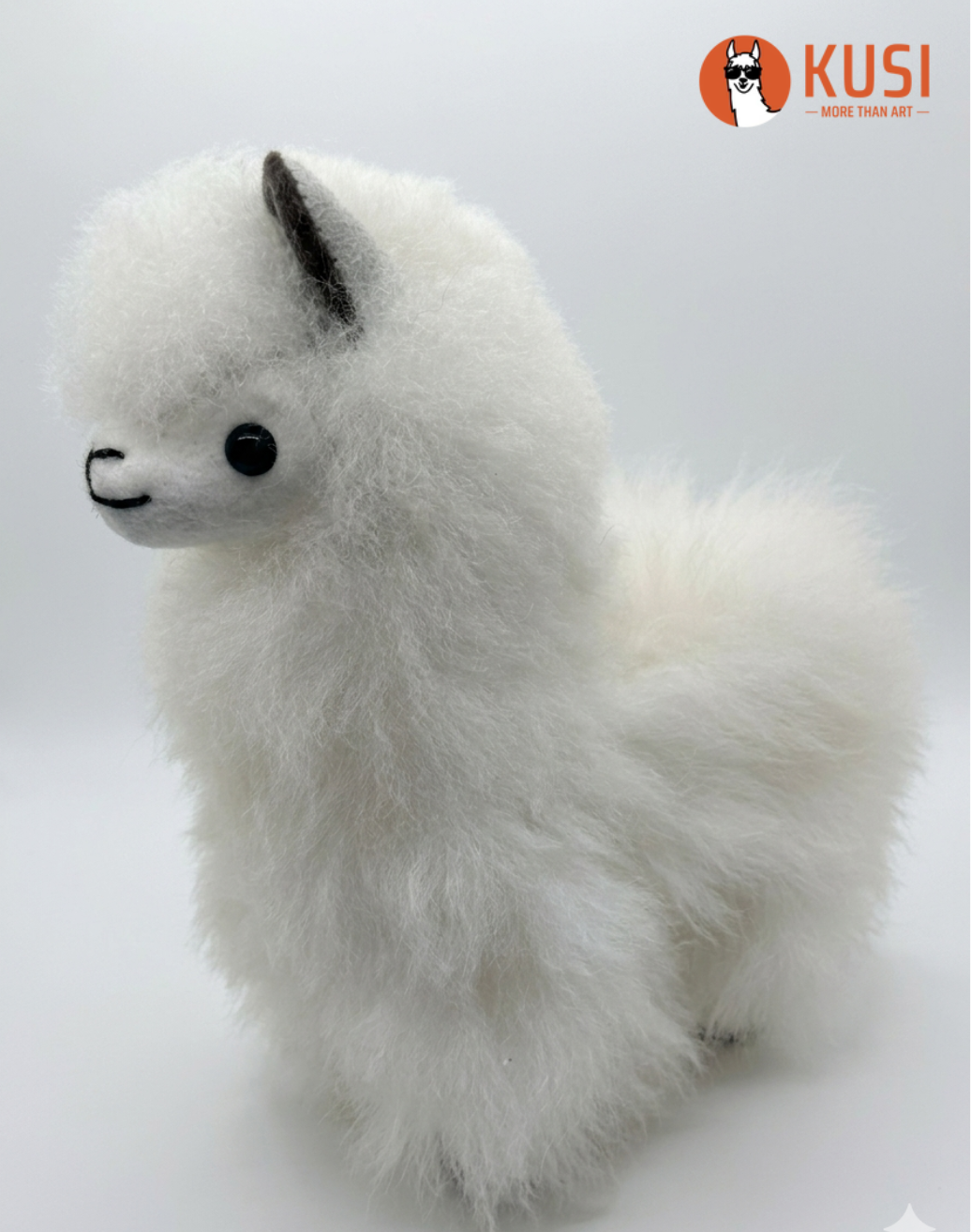 Llama Medium