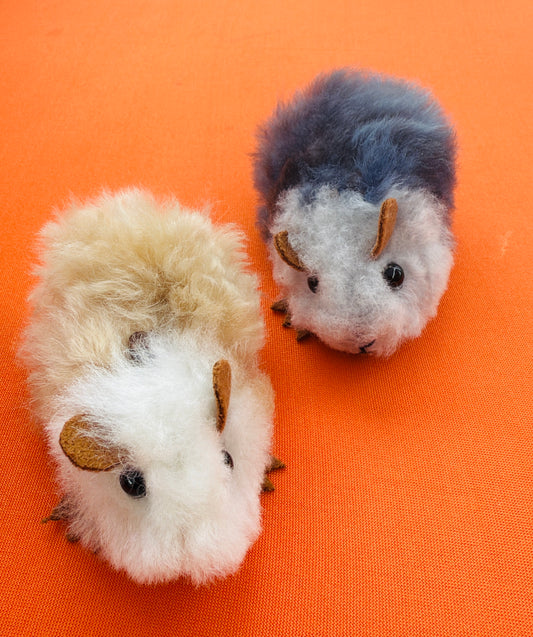 Small Guinea Pig